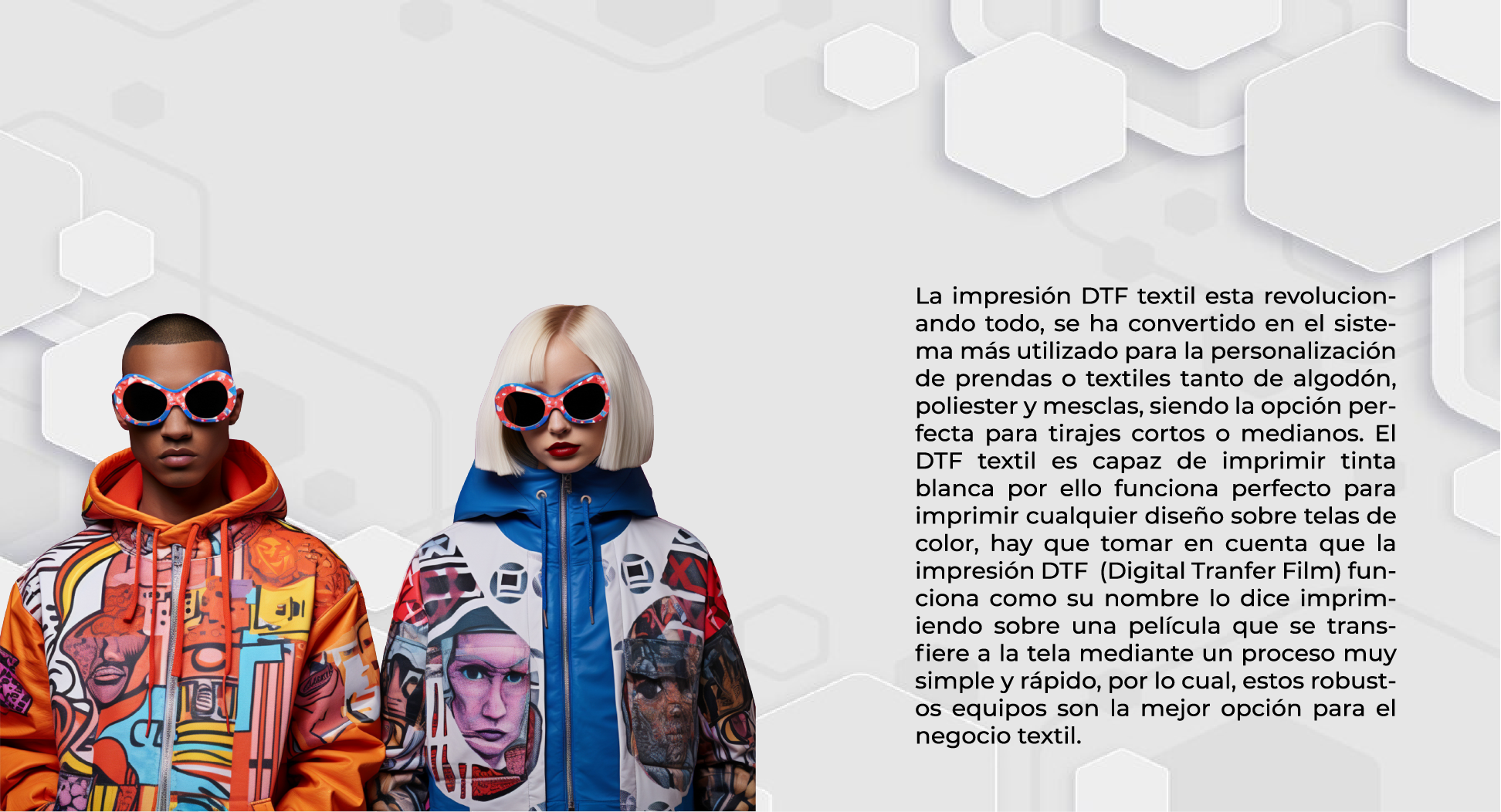 Descripción de la imagen